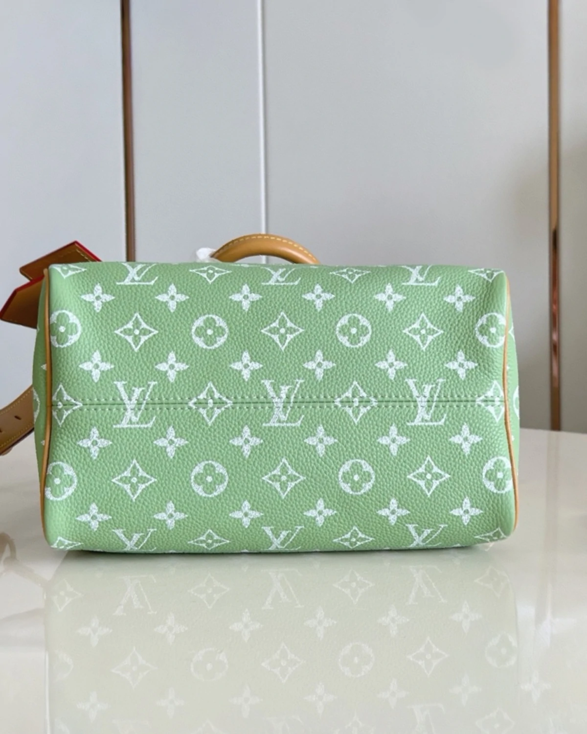 Rebce Speedy P9 Bandoulière 25 “Frozen Lime – Vert Clair”