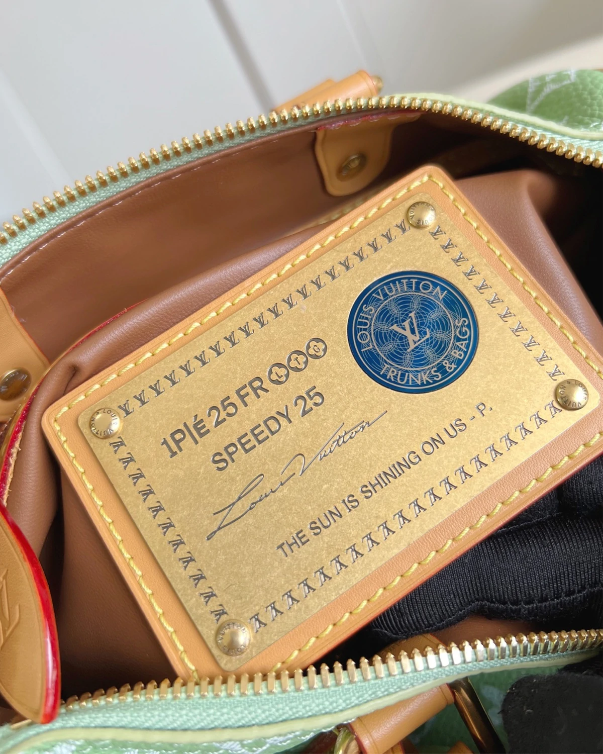 Rebce Speedy P9 Bandoulière 25 “Frozen Lime – Vert Clair”