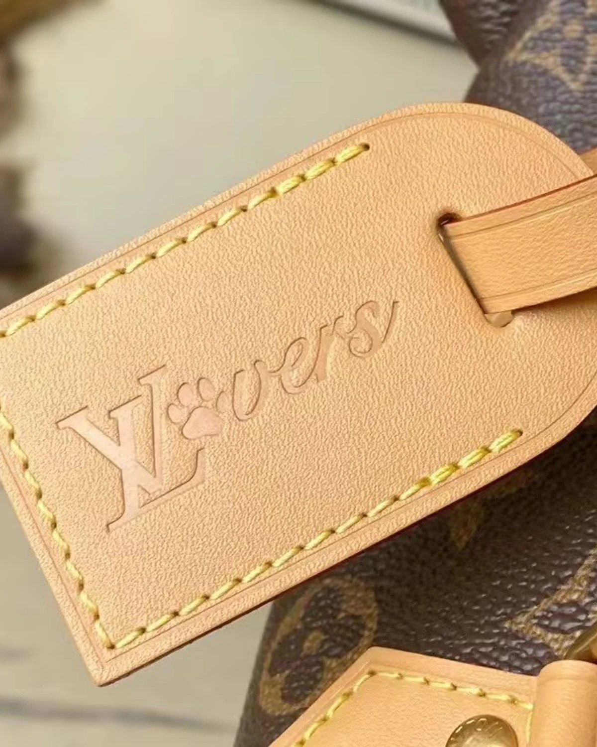 Brown Monogram Coated Canvas Pooch Dog Bag