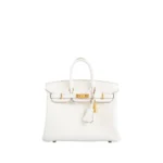Birkin 25 Togo Goldhardware “Mushroom”