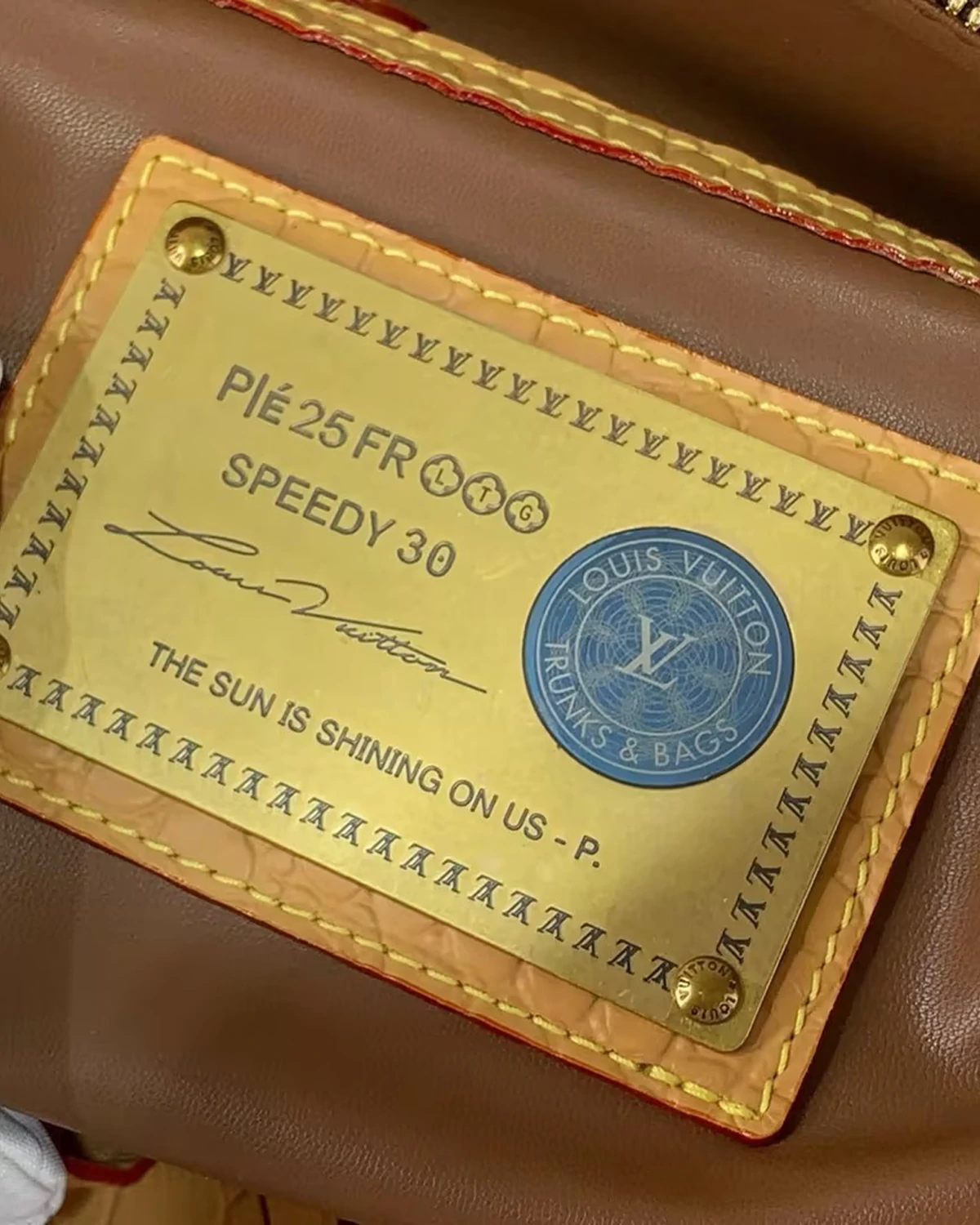 Speedy 30 P9 Crocodile Monogram