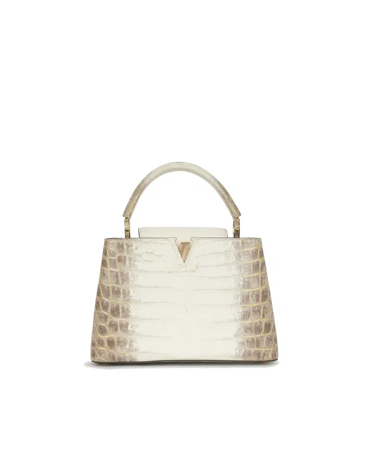 capucines-pm-himalaya-crocodile-niloticus